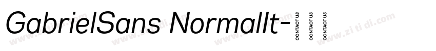 GabrielSans NormalIt字体转换
